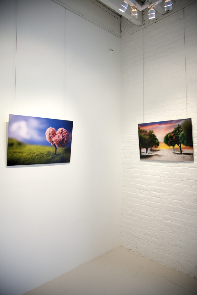 Installation view, Sandra Elkind: Flat Pennies & Other Tales at 571 Projects, NYC
