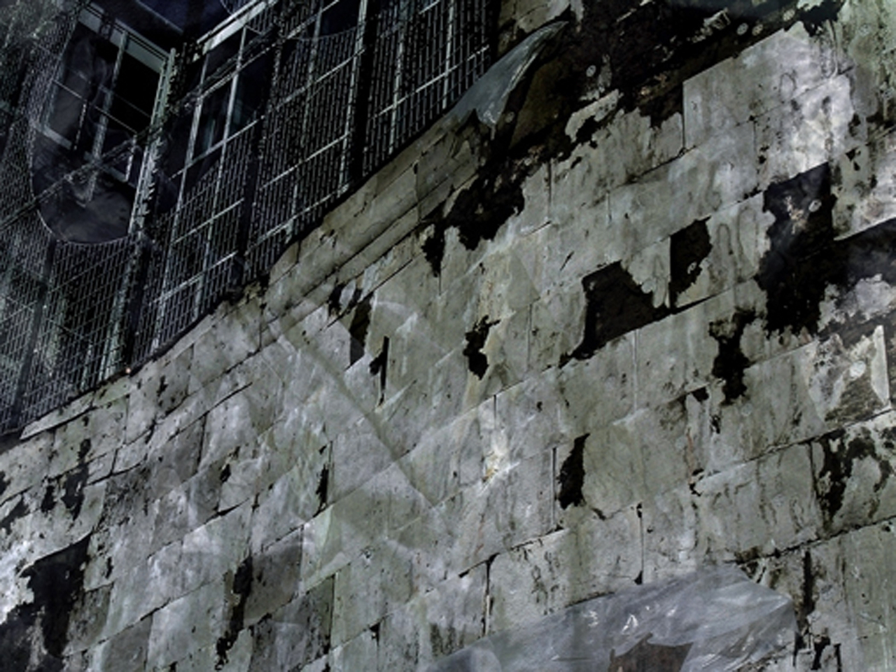 Laurel Lueders, Views, 2011