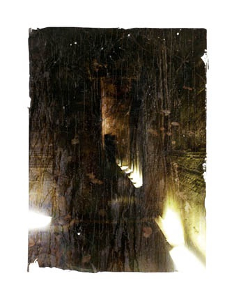 Dorothy Simpson Krause, Tomb, 2010