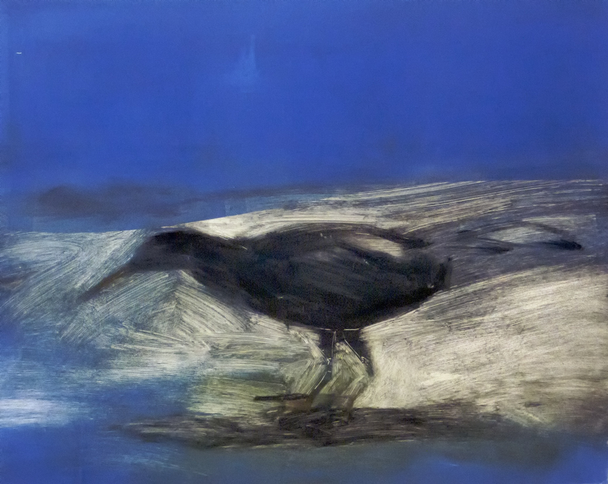 Malcolm Moran, A Bird Lost in His Own Space