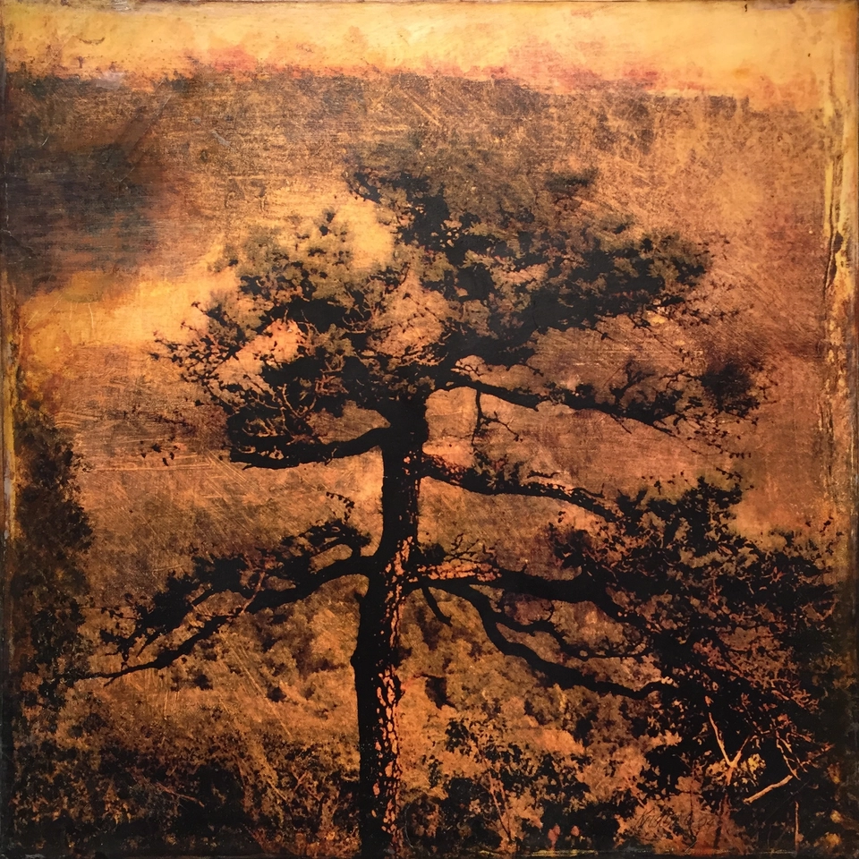 Dorothy Simpson Krause, Last One Standing, 2004, mixed media on canvas, 24 x 24 in.