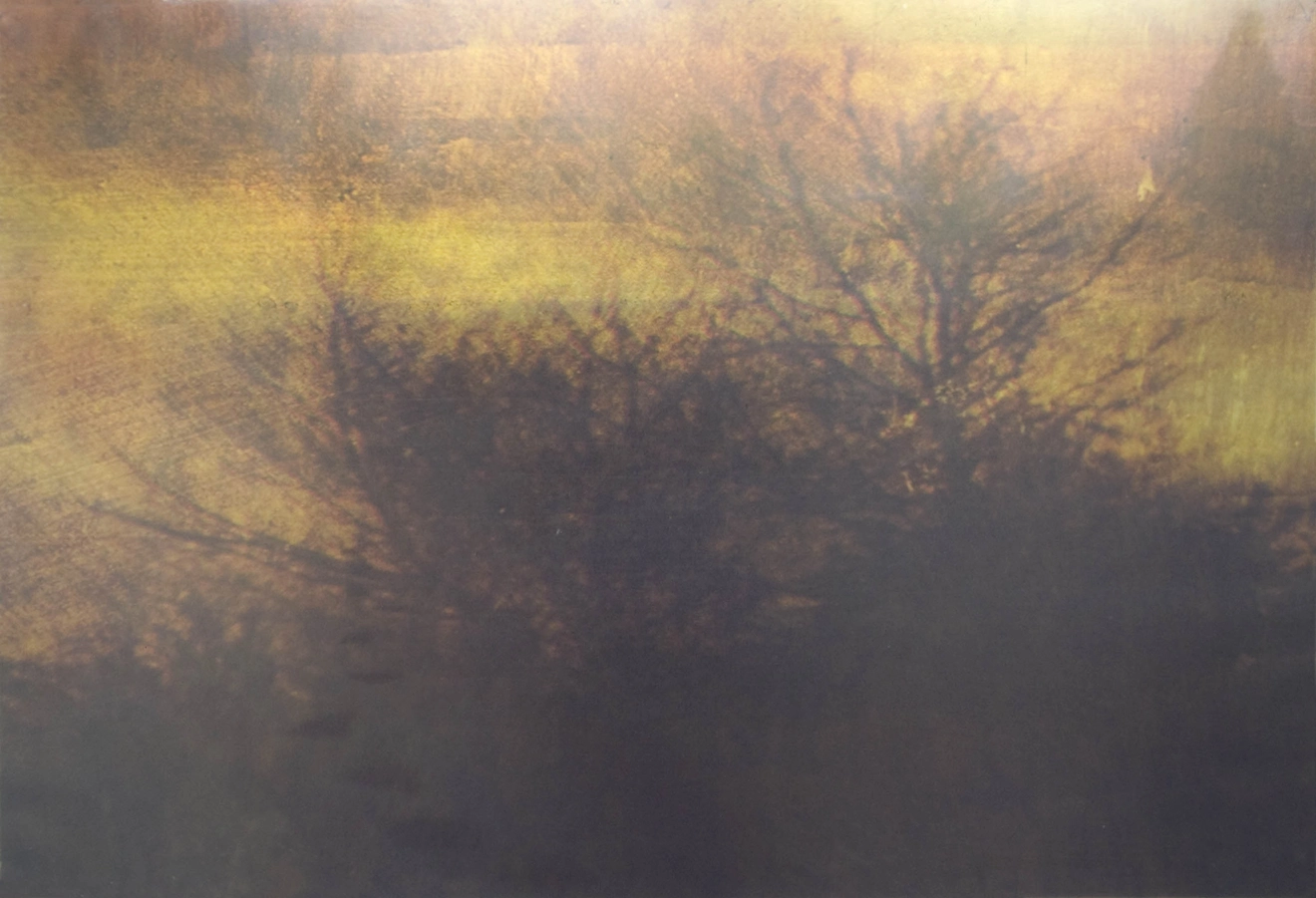 Dorothy Simpson Krause, Trace, 2008, UV cured flatbed mixed media print, 32 x 48 in.