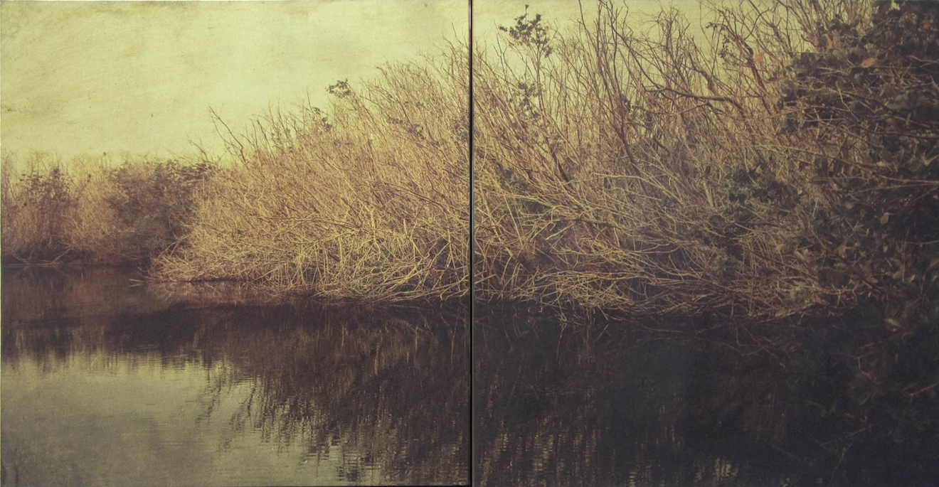 Dorothy Simpson Krause, Backwater, 2008