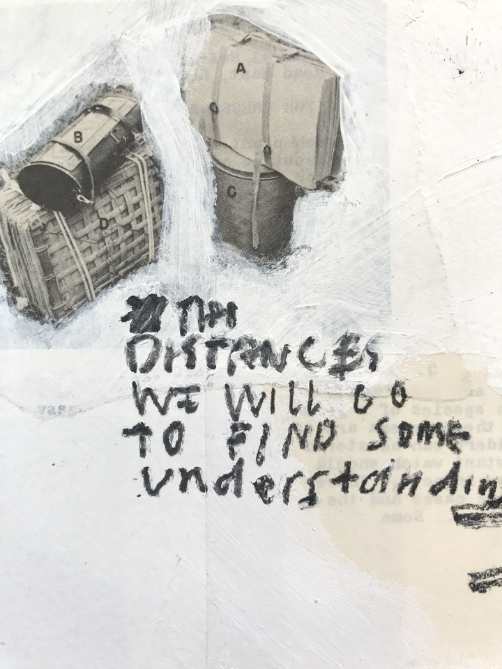 Jimmie James, how to identify plants/ usually irregular, 2016