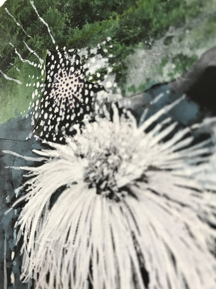 Sally Gil, Tall Mumm, 2017