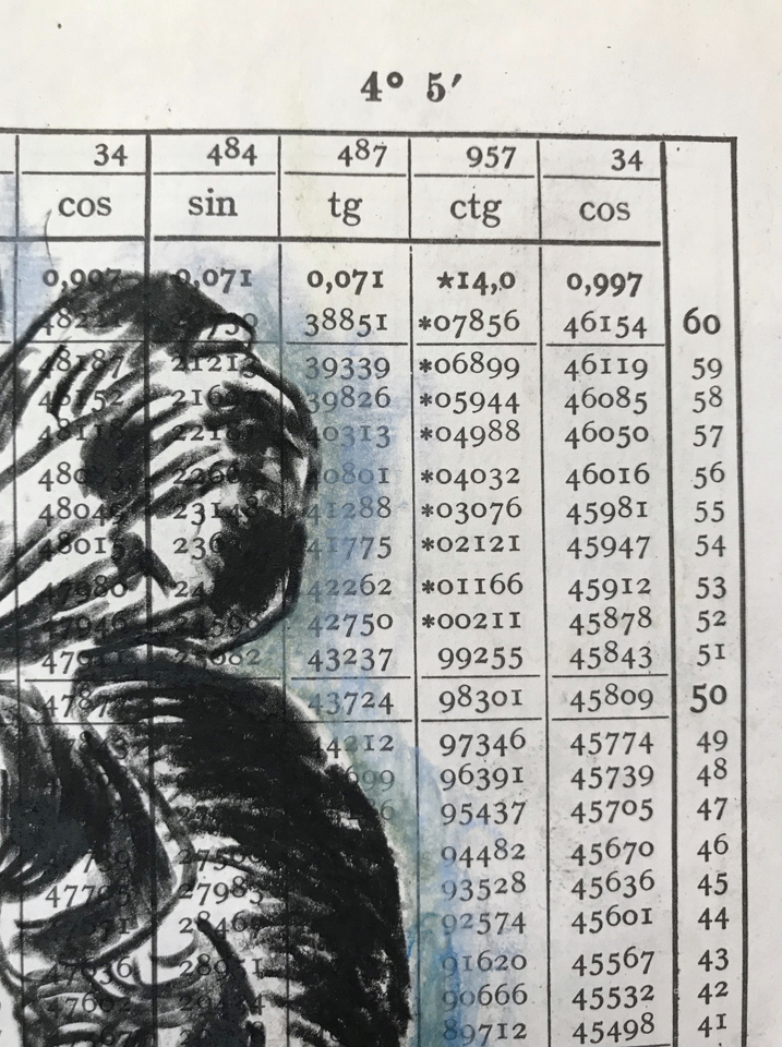 Brian Fekete, No. 83, 2017