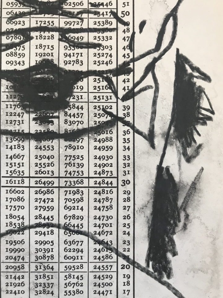 Brian Fekete, No. 69, 2017