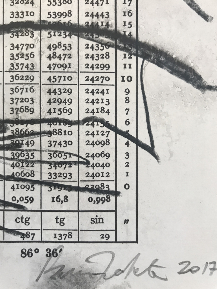 Brian Fekete, No. 69, 2017