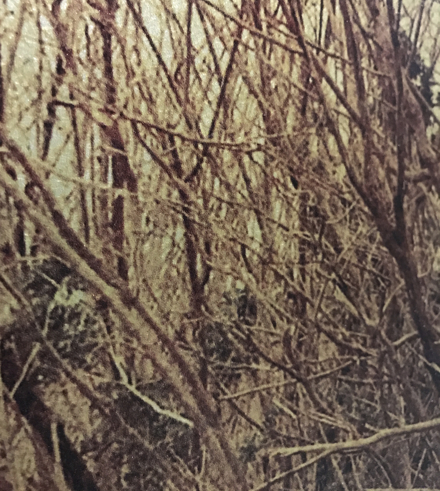 Dorothy Simpson Krause, Backwater, 2008