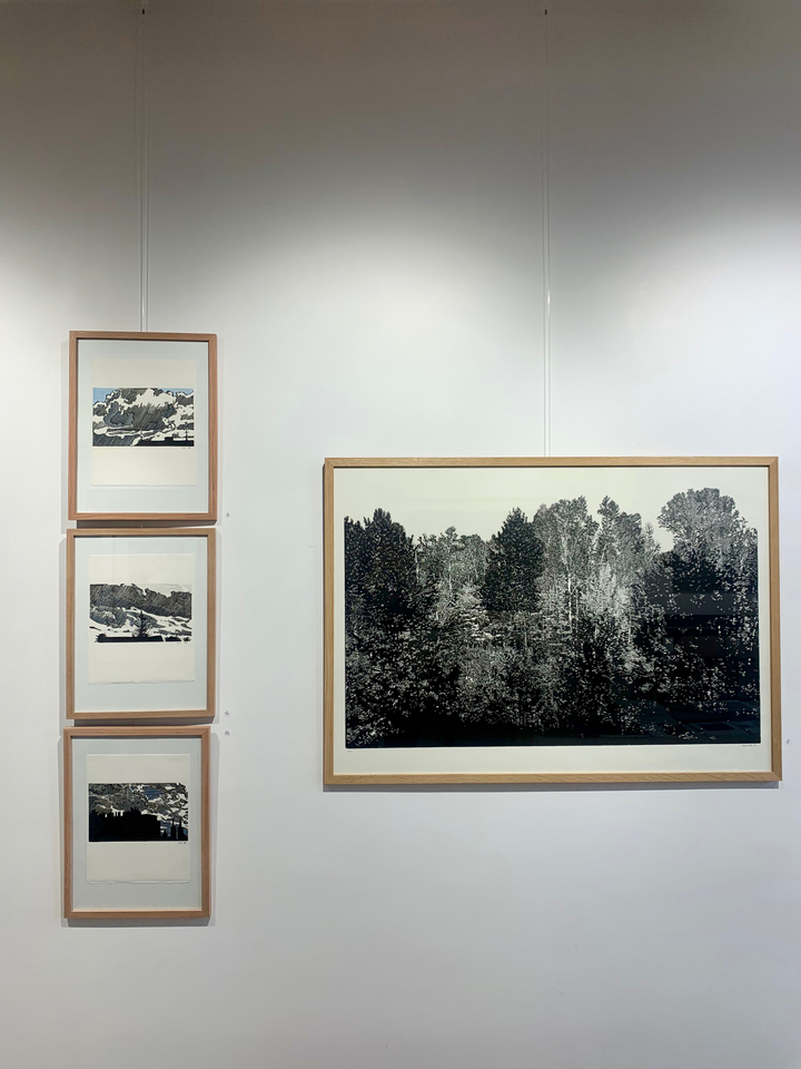 ACCROCHAGE COLLECTIF