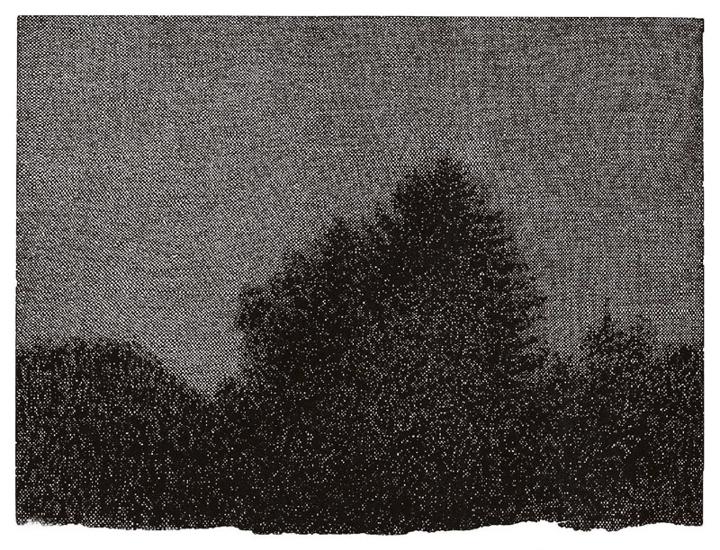 Nicolas Poignon, Arbres - Nuit, 1999