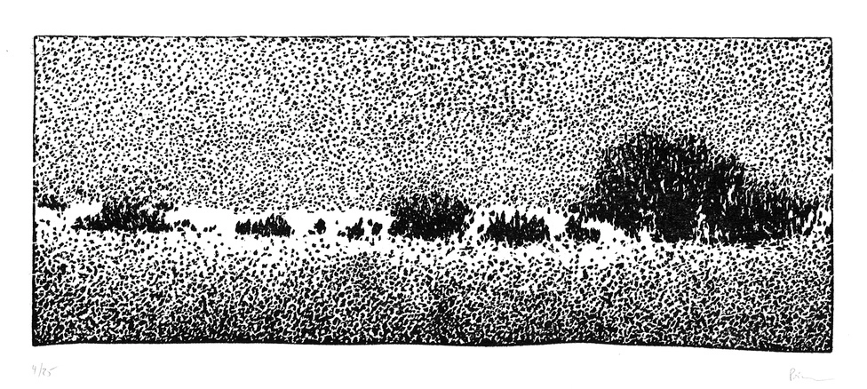 Nicolas Poignon, Buissons - Horizon, 2008-2009