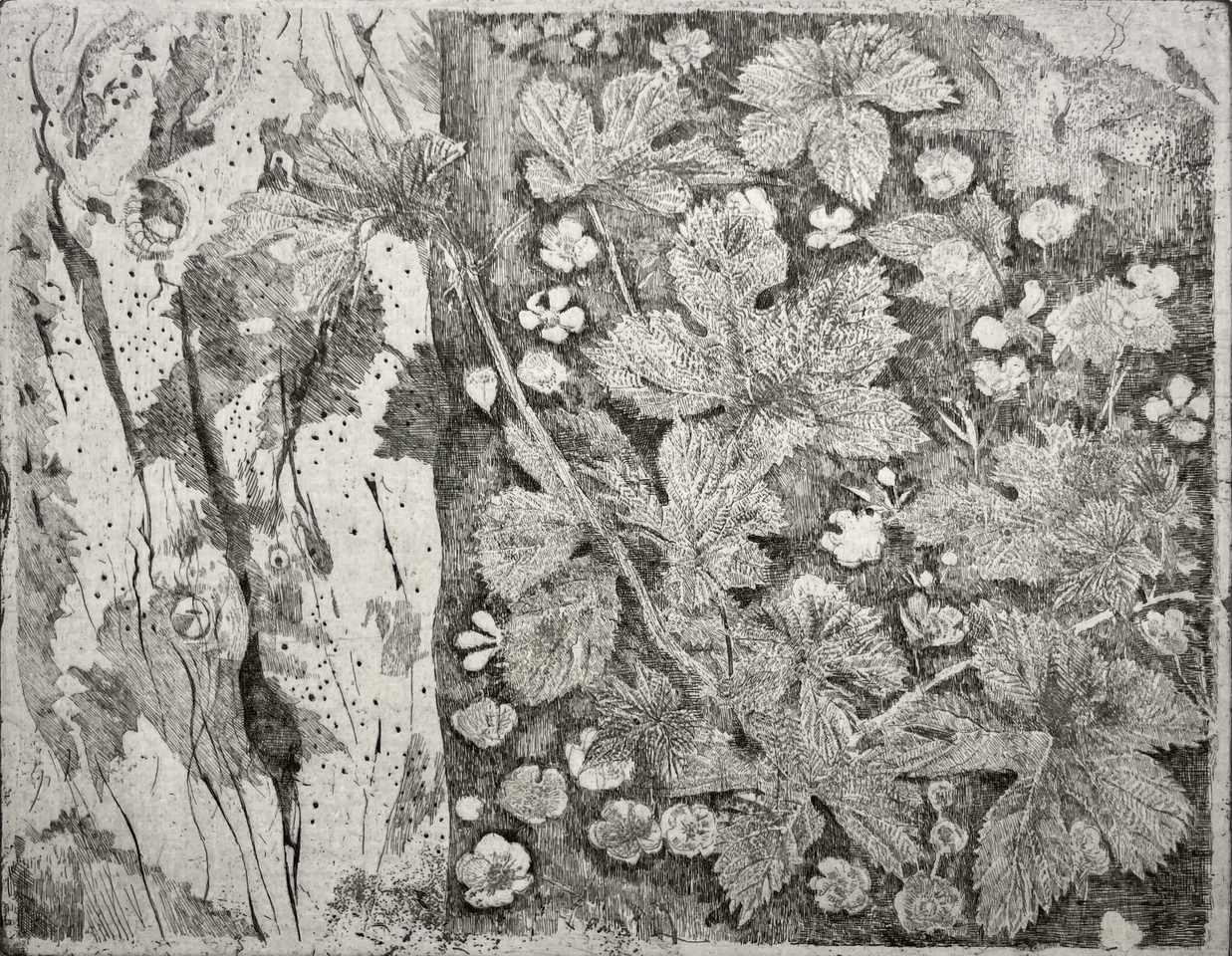 Charles Donker, Hop XVII (Vlierstam Boterbloemen), 2023