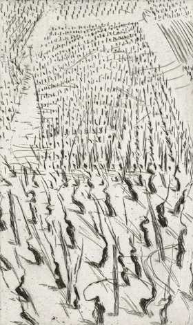 Astrid de La Forest, Vignes II, 2006