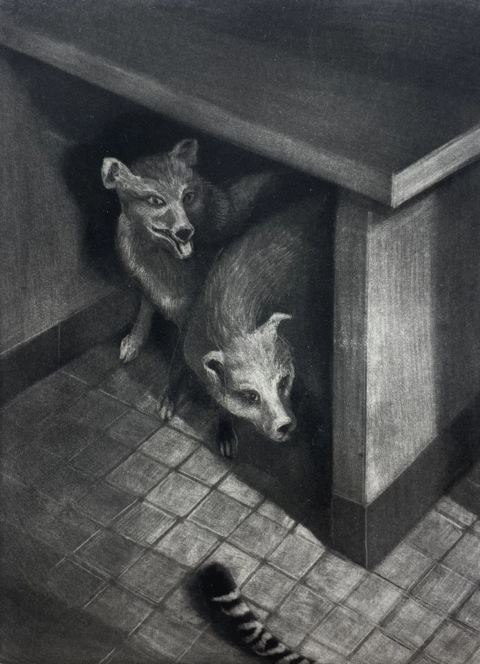 Judith Rothchild, Deux renards, 2017-2018