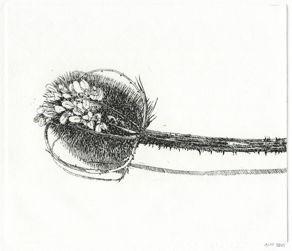 Delphine D. Garcia, 11.XI.13 bis, 2013