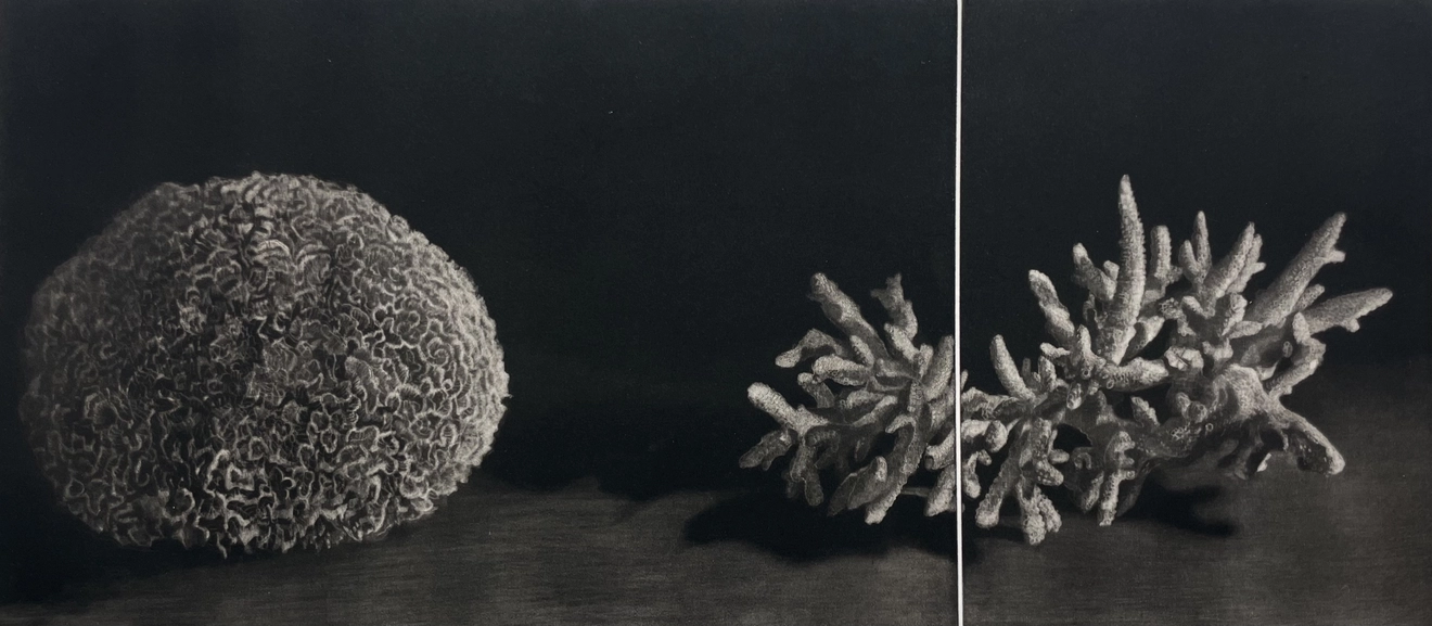 Judith Rothchild, Coraux, 2015