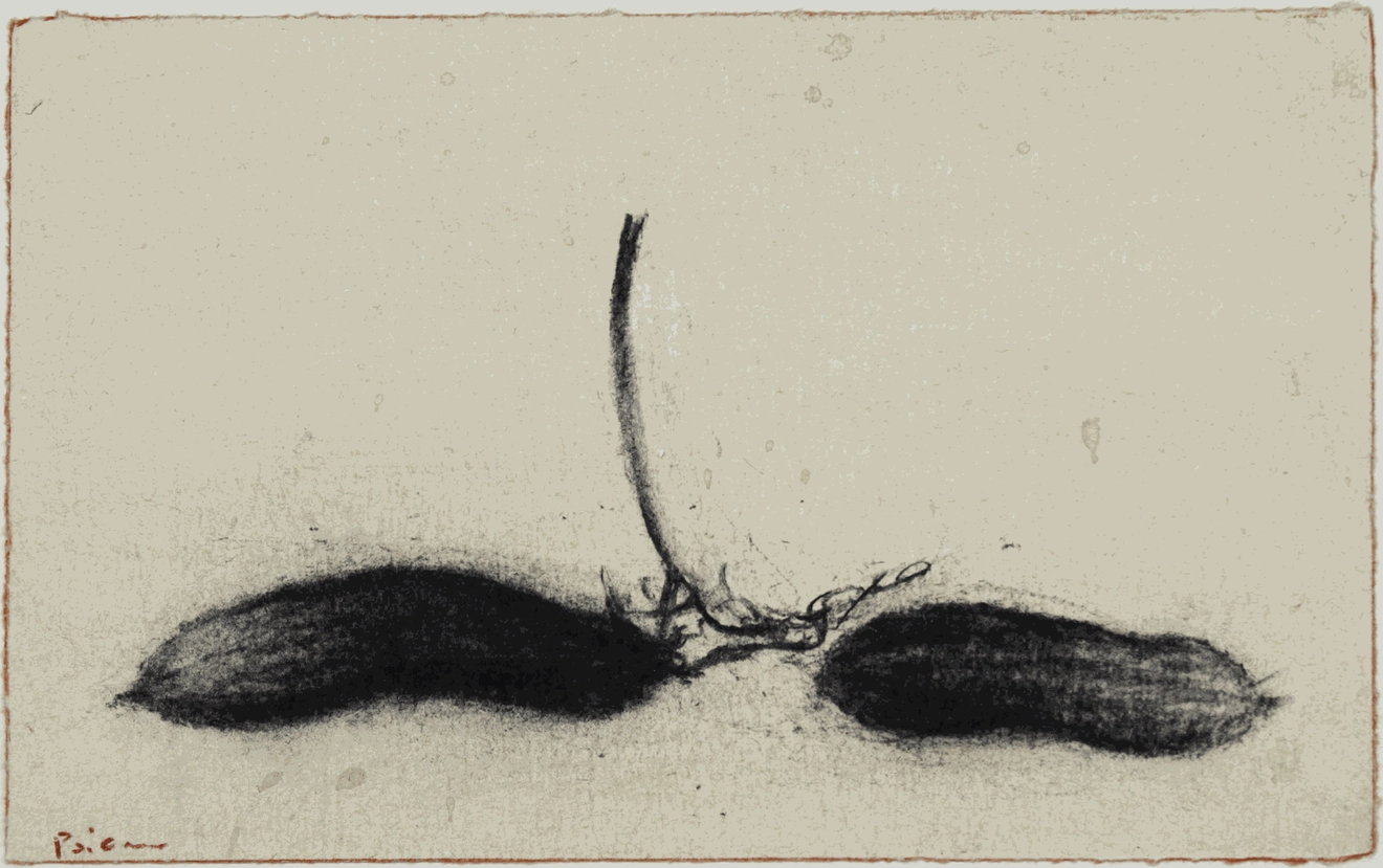 Nicolas Poignon, Les Deux fruits exotiques séchés, 2017