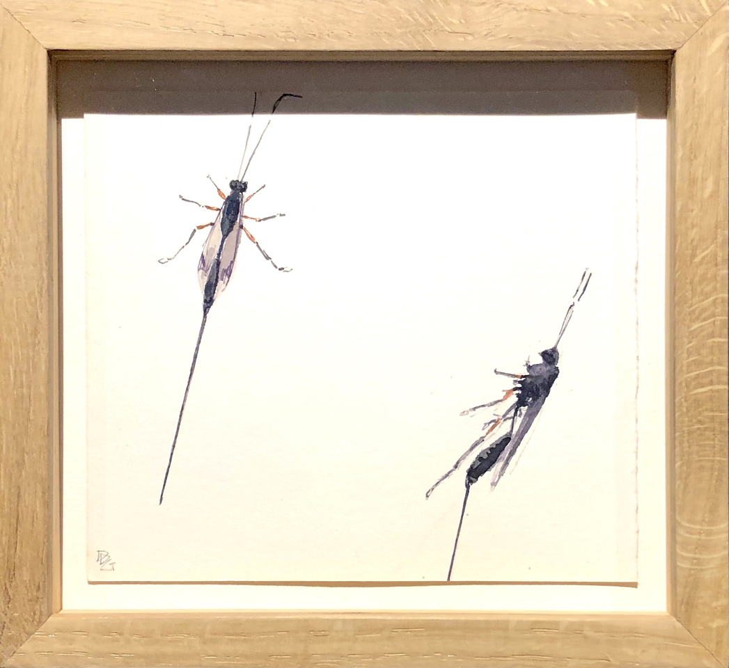 Delphine D. Garcia, 1.VI.20, 2020