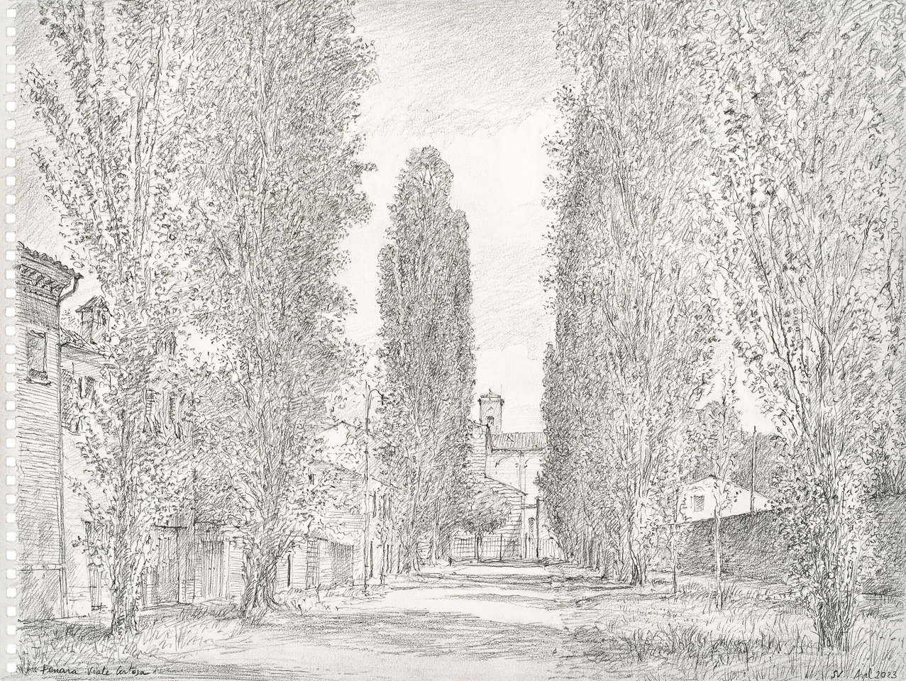 Simon Vignaud, Ferrara, Viale della Certosa, 2023