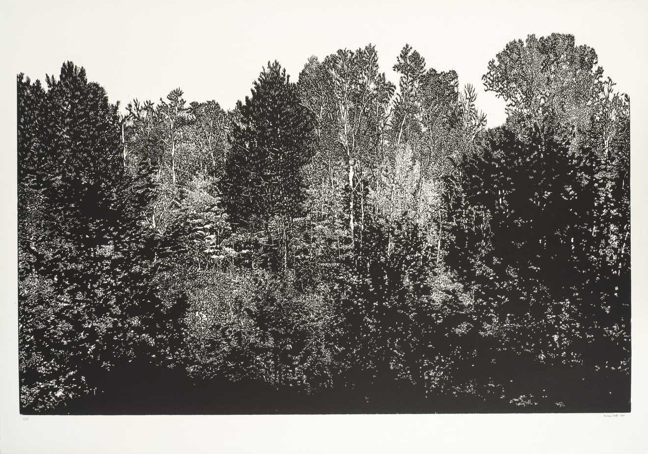 Ariane Fruit, Transe canadienne - VIII, 2020