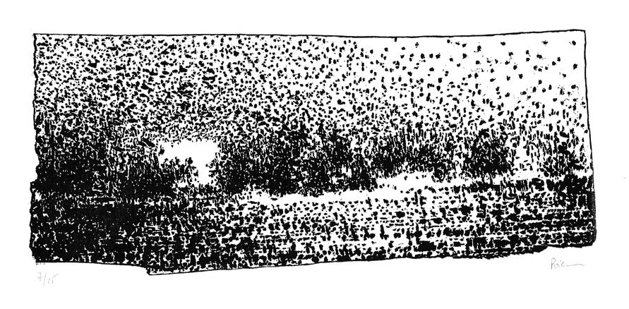 Nicolas Poignon, Fourmillement, 2008