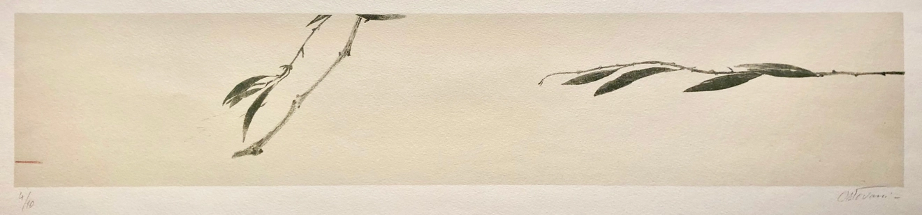 Farhad Ostovani, Méditerrannée II, 2018