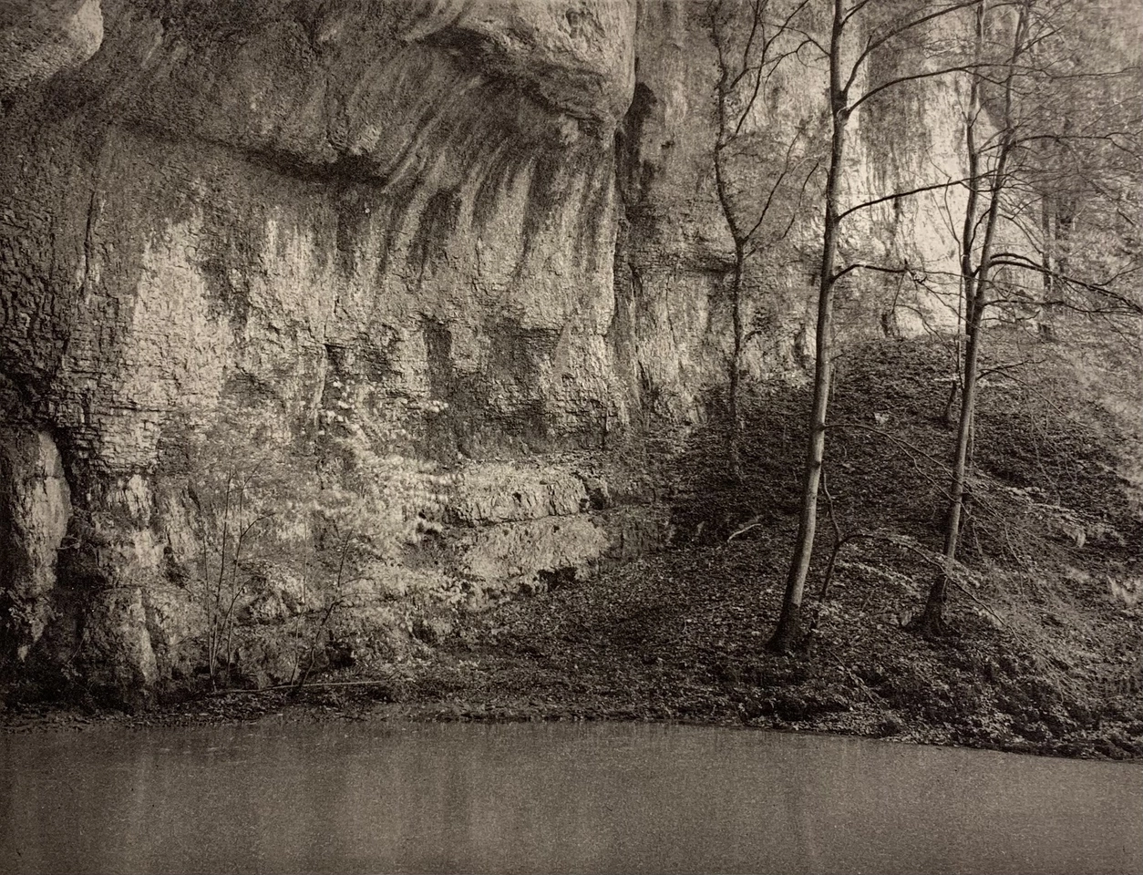 Jon Goodman, Tree & Cliff, Lison, 1985