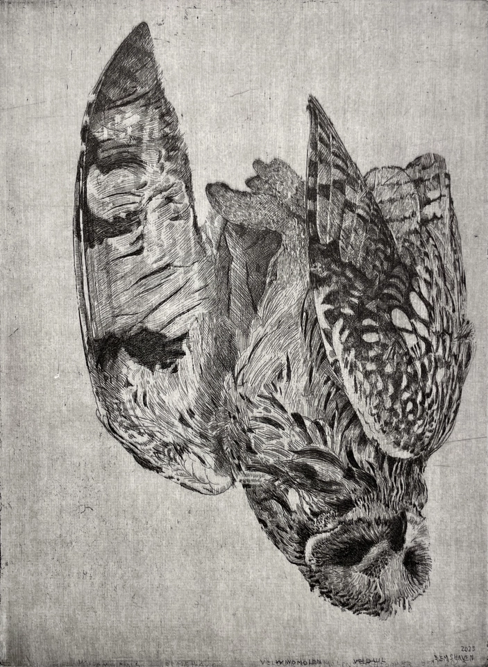 Charles Donker, Velduil I (Windmolen Eemshaven), 2023