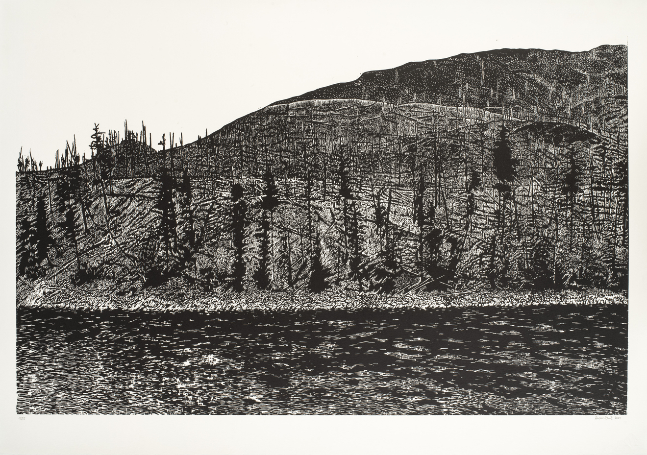 Ariane Fruit, Transe canadienne - XII, 2021