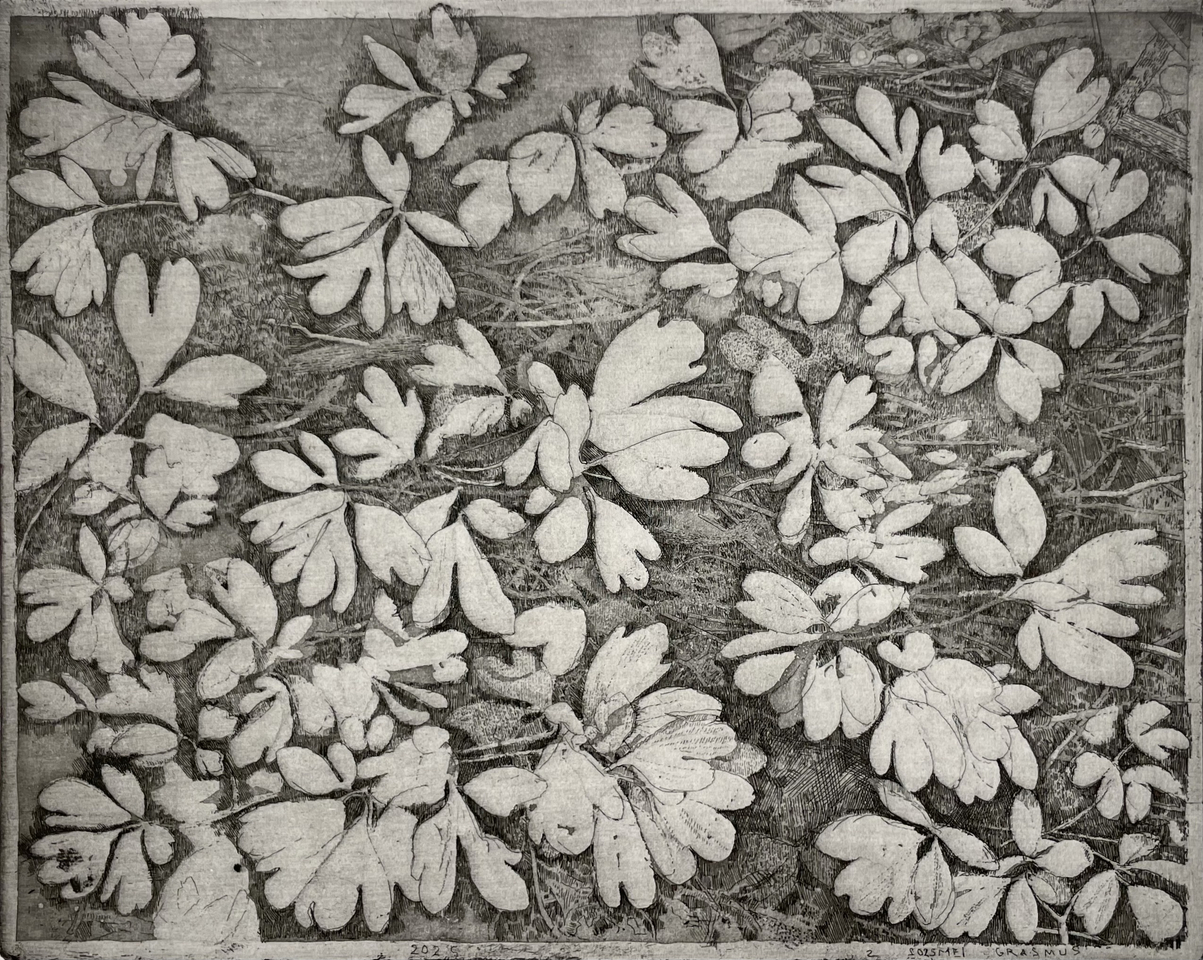 Charles Donker, Holwortel (Corydalis cava), 2025