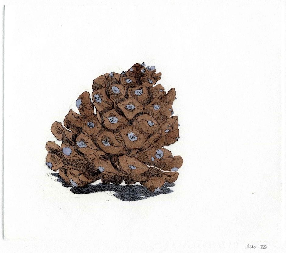 Delphine D. Garcia, 20.VIII.13, 2013