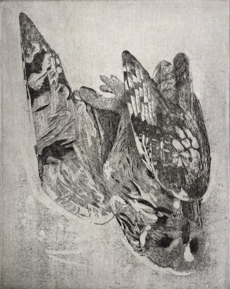 Charles Donker, Velduil II, 2023