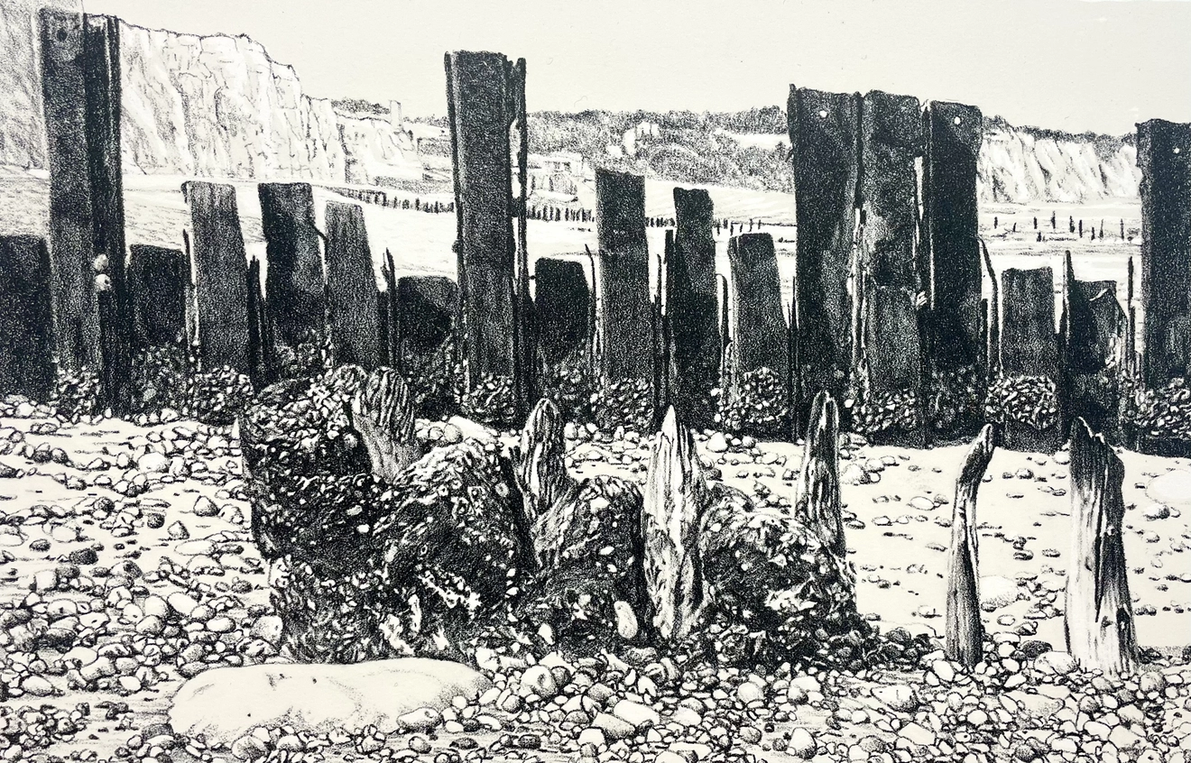 Ariane Fruit, MARRÉE BASSE # 5, 2026