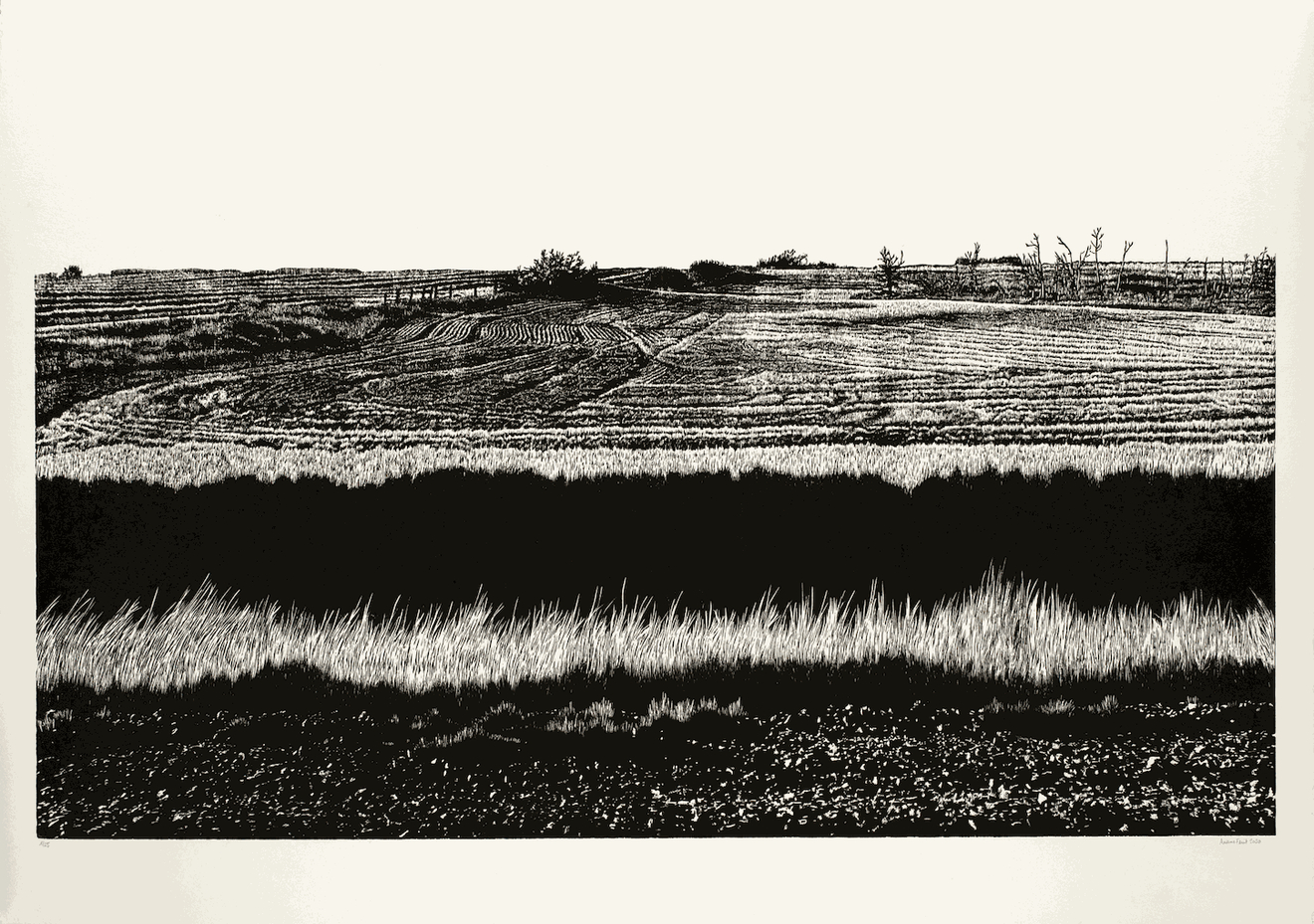 Ariane Fruit, Transe canadienne - IV, 2020