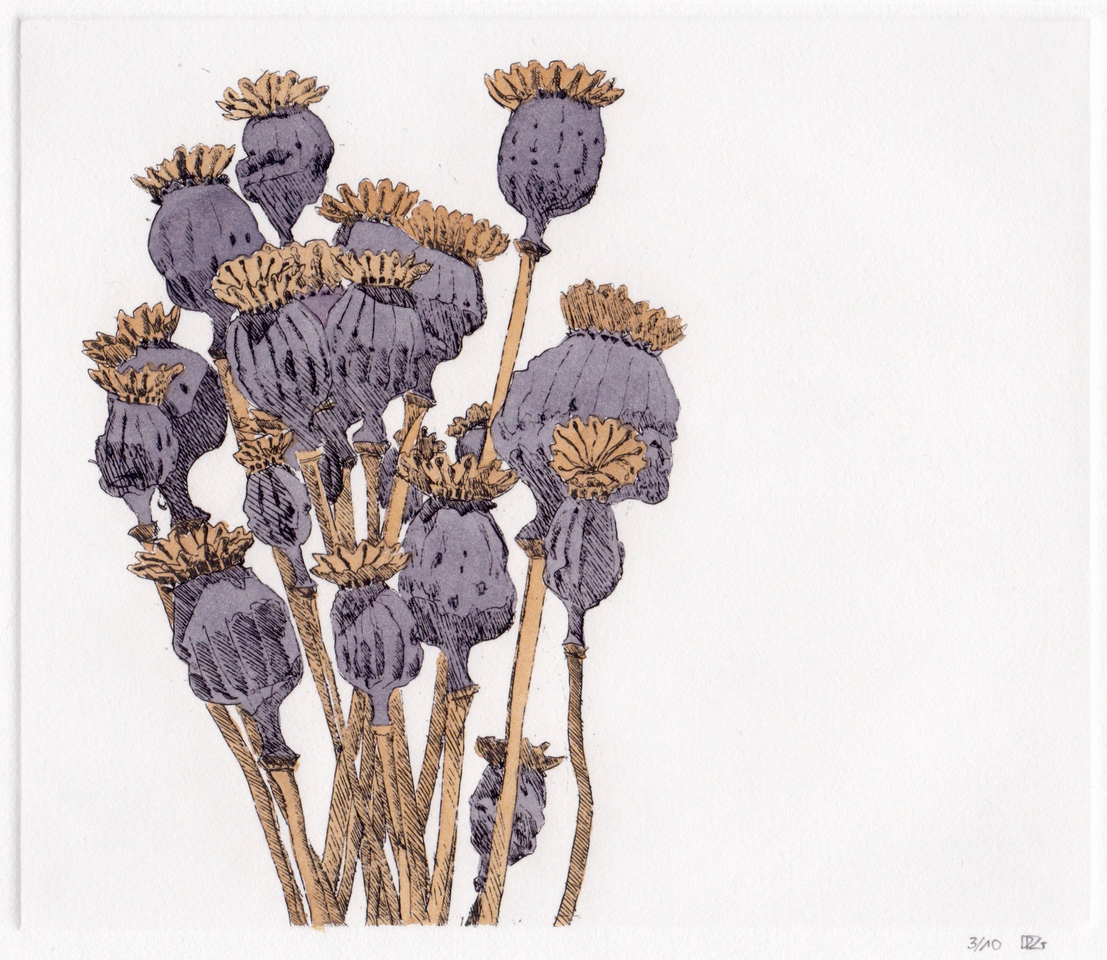 Delphine D. Garcia, 1.IX.13, 2013