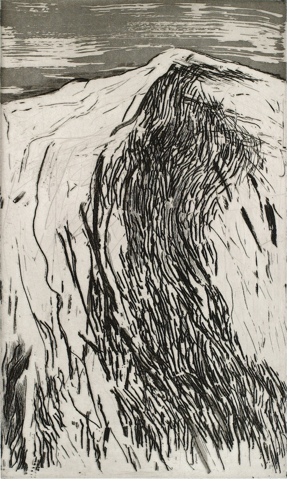 Astrid de La Forest, Montagne II, 2005