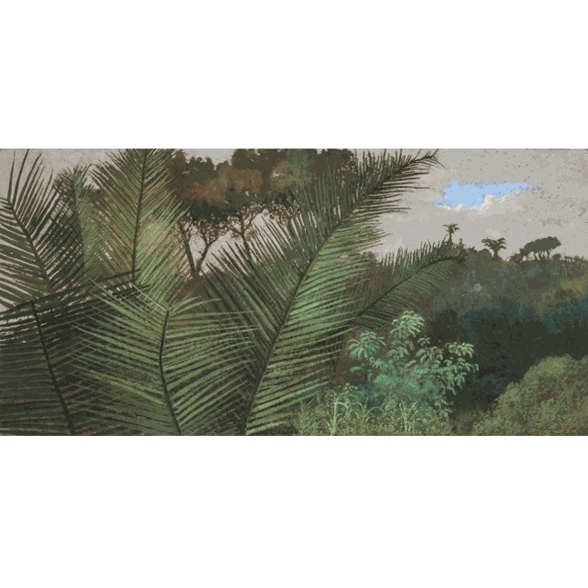 Charles-Élie Delprat, Kibale (1), Ouganda, 2022