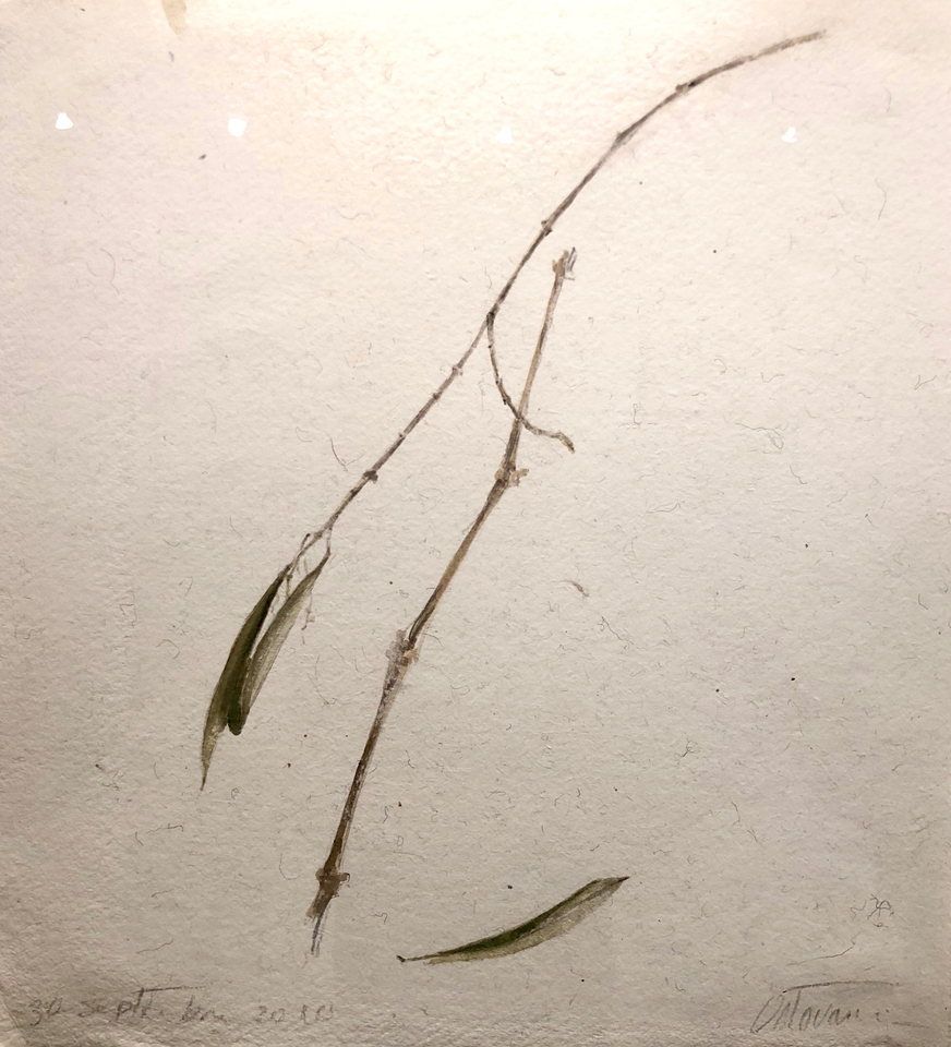 Farhad Ostovani, Méditation, 2010