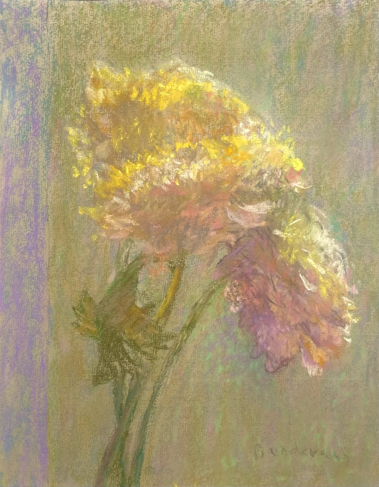 Martin Basdevant, Renoncules I, 2023