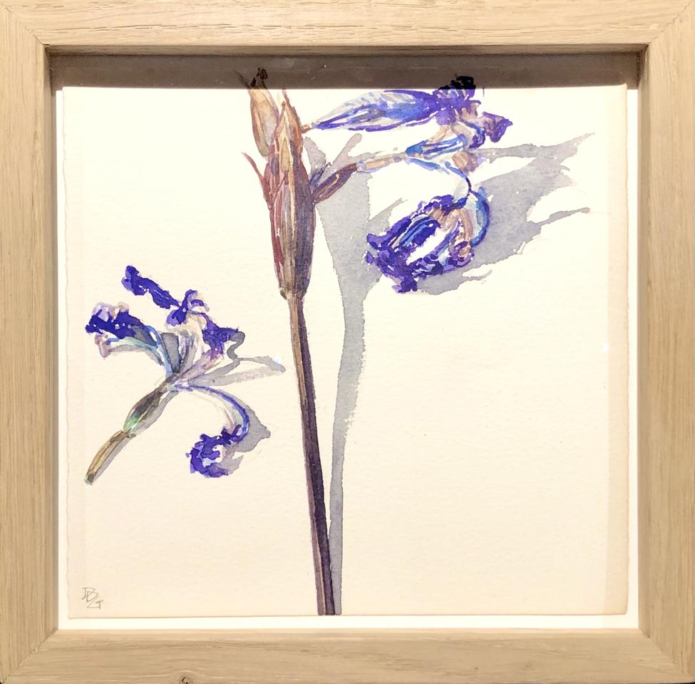 Delphine D. Garcia, 4.VI.20, 2020