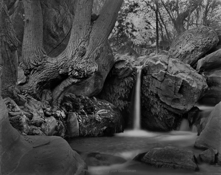 Jon Goodman, Cottonwood & Waterfall, Grand Canyon, 2016