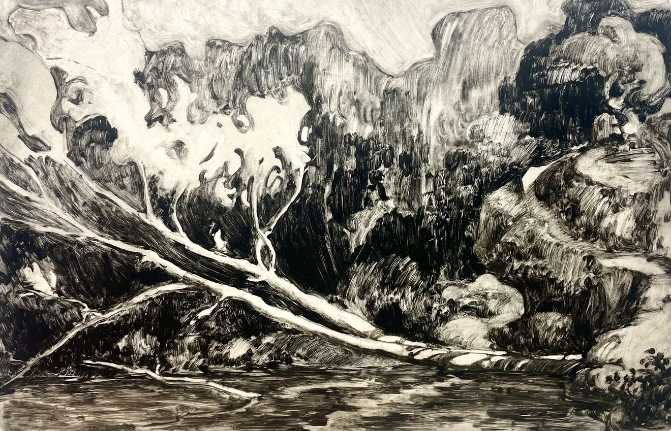 Nicolas Sage, Delftse Hout, 2014