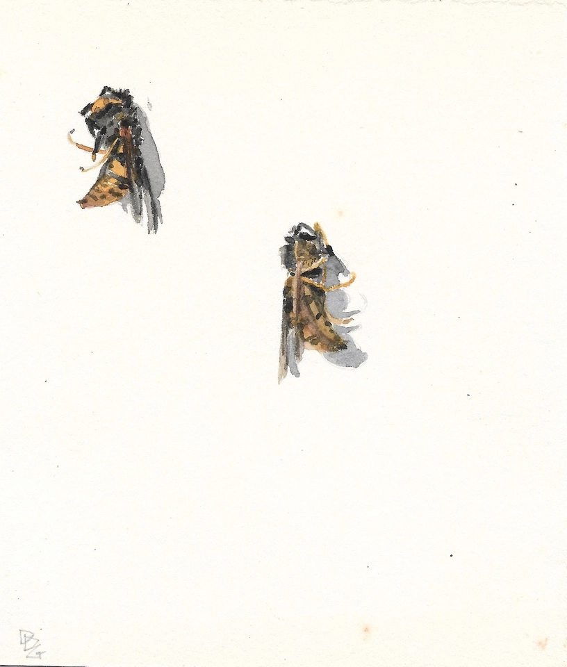 Delphine D. Garcia, 6.IV.20, 2020