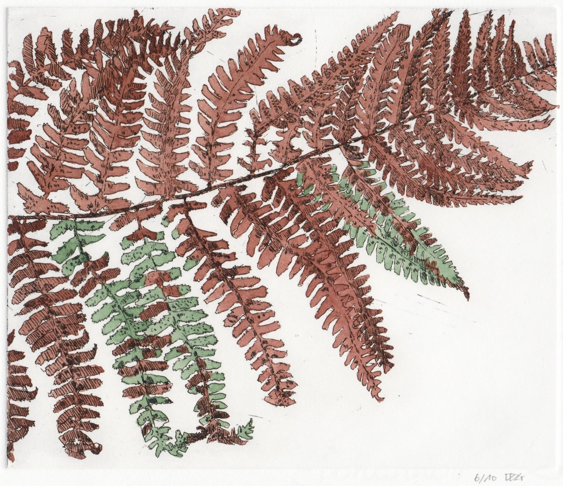 Delphine D. Garcia, 4.II.15, 2015