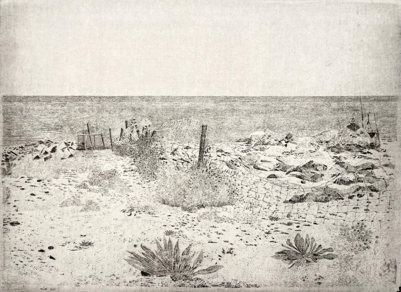 Charles Donker, Eemsdelta II, 2025