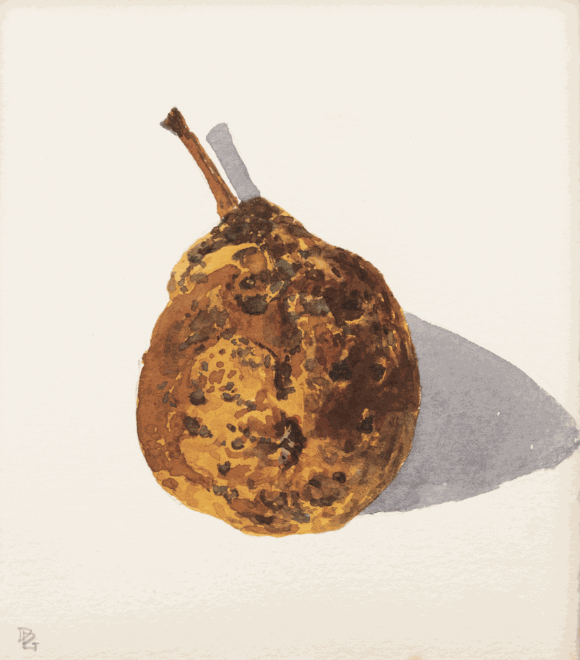 Delphine D. Garcia, 19.IX. 18, 2018