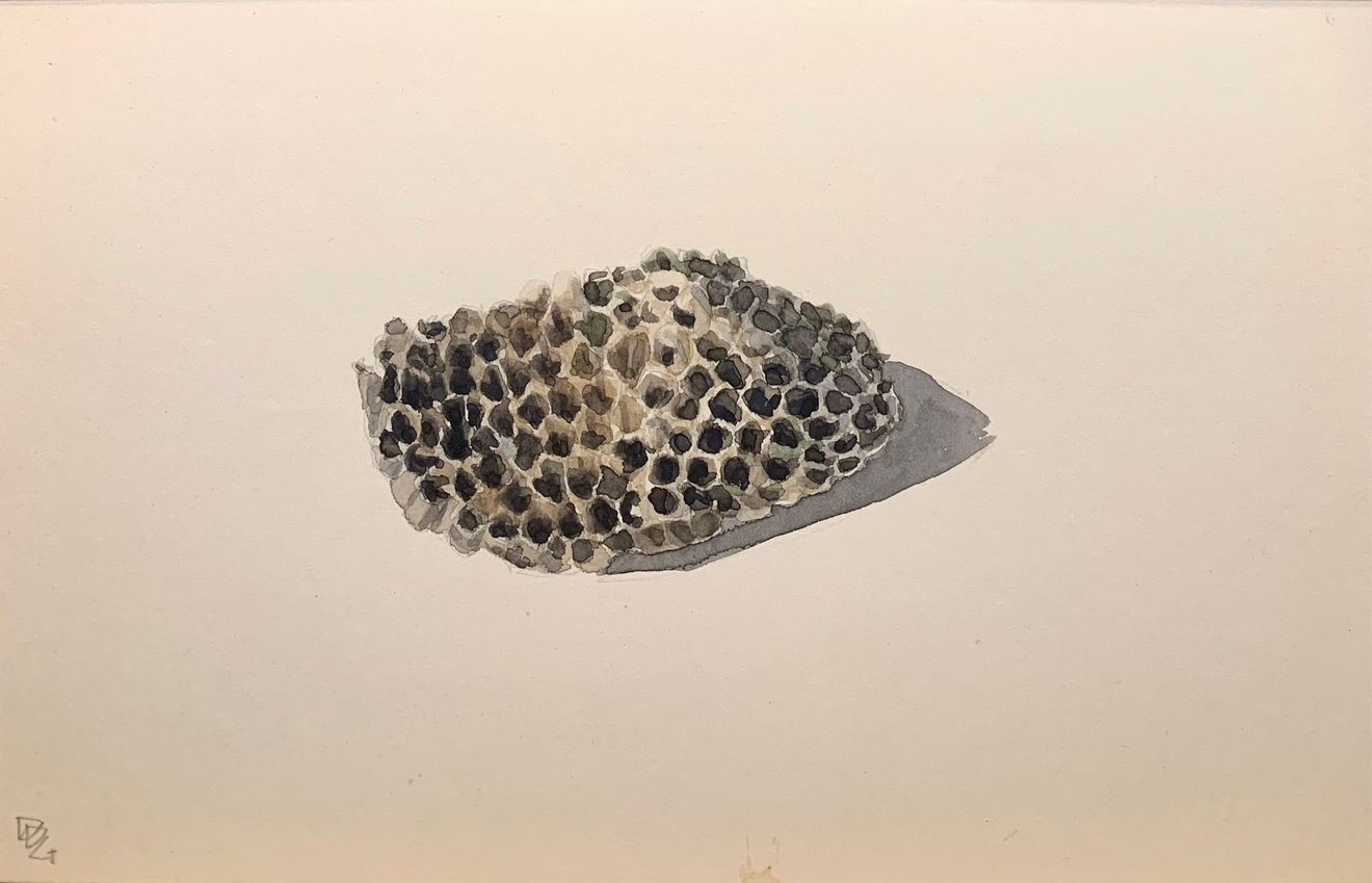 Delphine D. Garcia, 16.VI.20, 2020