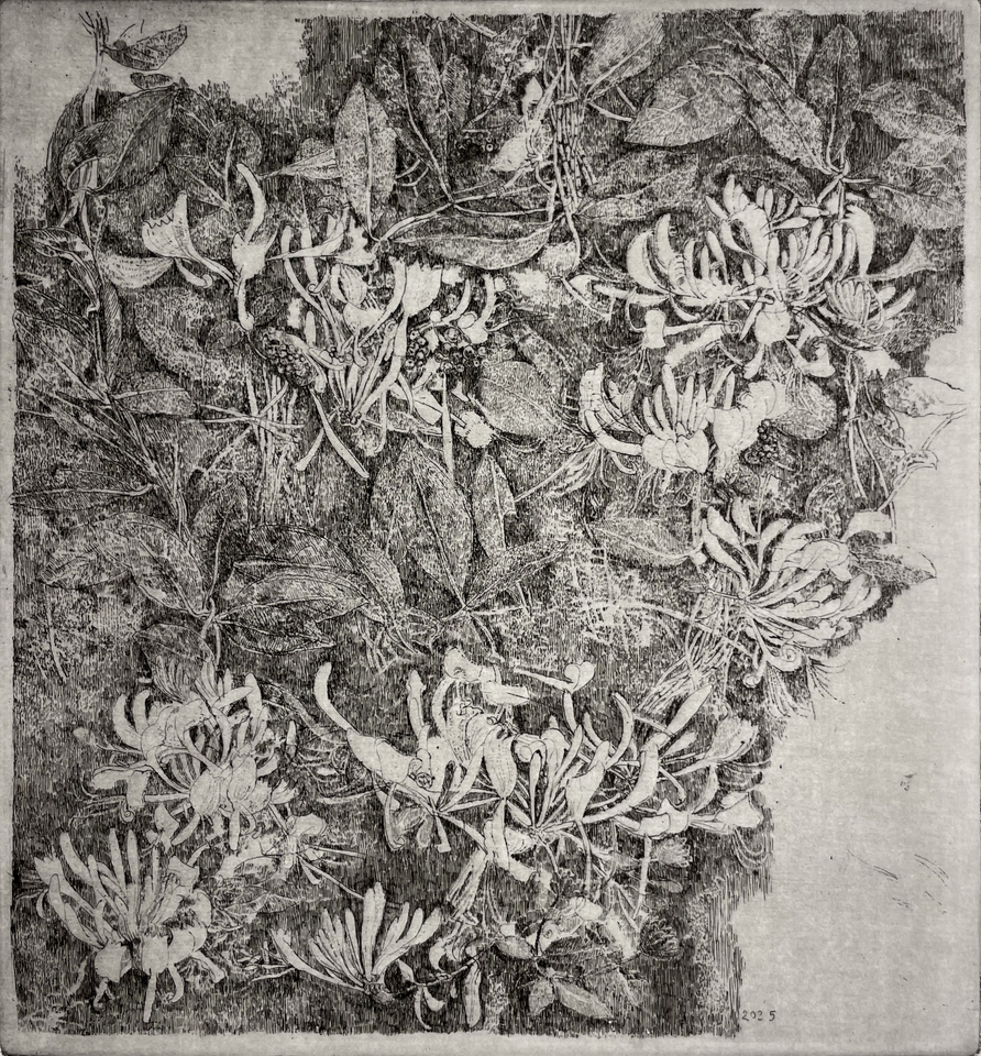 Charles Donker, Kamperfoelie, 2025