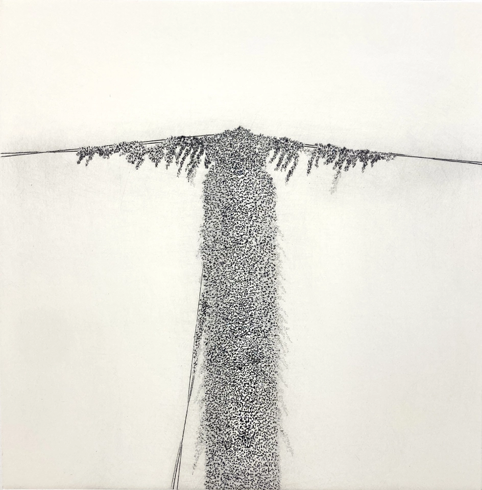 Jacques Muron, Harpon, 2015